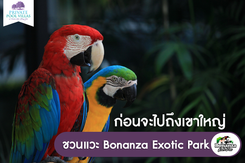 ก่อนจะไปถึงเขาใหญ่ ชวนแวะ Bonanza Exotic Park