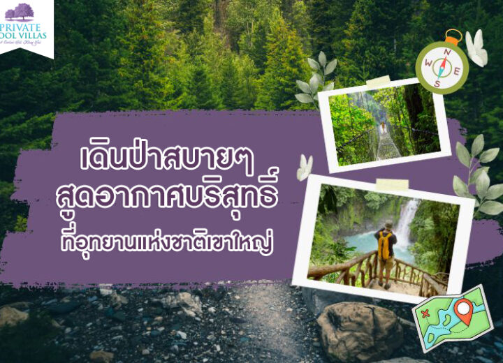 เดินป่าสบายๆ สูดอากาศบริสุทธิ์ที่อุทยานแห่งชาติเขาใหญ่