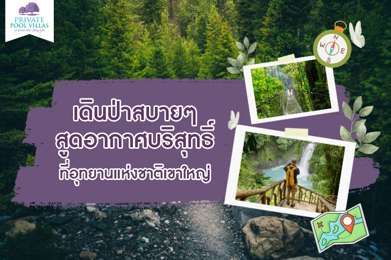 เดินป่าสบายๆ สูดอากาศบริสุทธิ์ที่อุทยานแห่งชาติเขาใหญ่