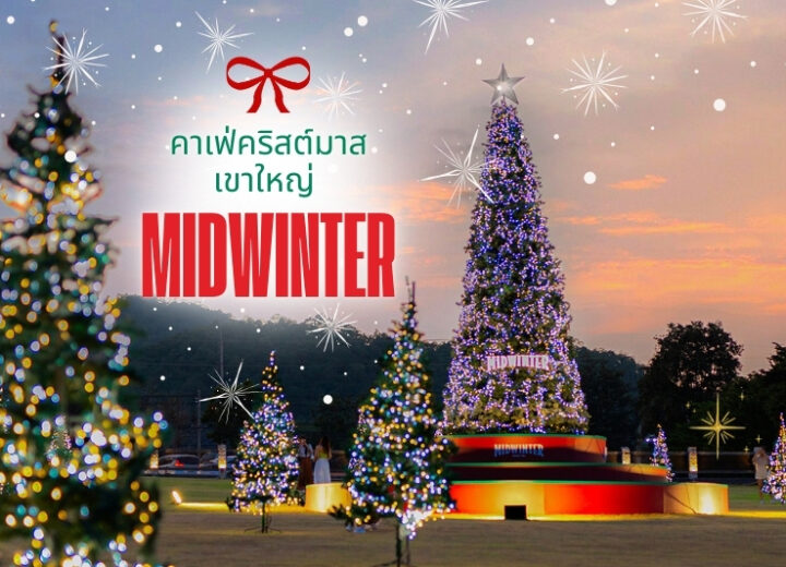 แนะนำคาเฟ่คริสมาสเขาใหญ่ “Midwinter”