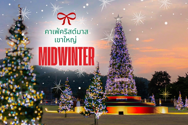 แนะนำคาเฟ่คริสมาสเขาใหญ่ “Midwinter”